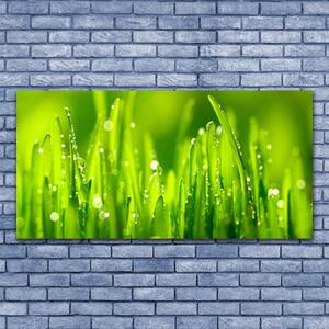 Tablou pe panza canvas Weed Natura verde