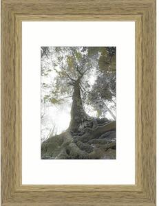 Ramă foto lemn Modern stejar 9x13 cm