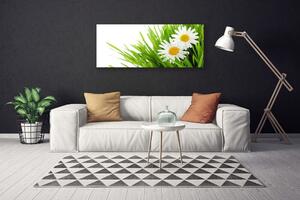 Tablou pe panza canvas Iarbă Margarete Floral Verde Galben Alb