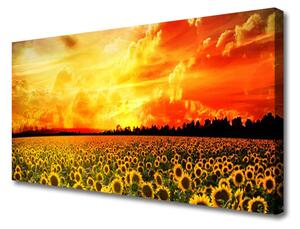 Tablou pe panza canvas Meadow Sunflowers Floral Verde Galben Maro