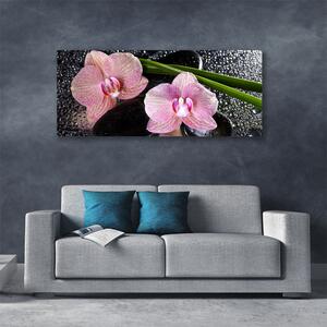Tablou pe panza canvas Flori Floral Verde Roz