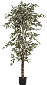 Plantă artificială, Ficus Hawalli, verde