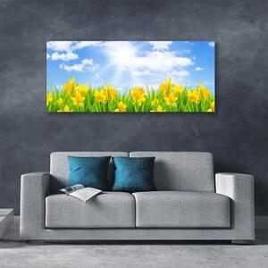 Tablou pe panza canvas Jonquille Sun Floral Verde Galben Alb