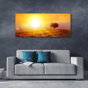 Tablou pe panza canvas Sun Meadow Peisaj Galben Maro