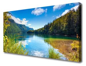 Tablou pe panza canvas Mountain Lake Forest Natura Verde Albastru