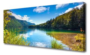 Tablou pe panza canvas Mountain Lake Forest Natura Verde Albastru