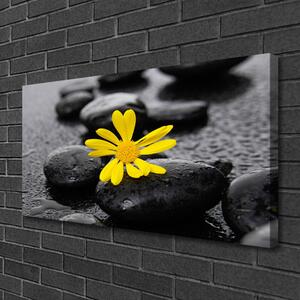 Tablou pe panza canvas Pietrele de flori Arta Galben Negru