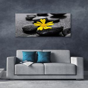 Tablou pe panza canvas Pietrele de flori Arta Galben Negru