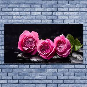 Tablou pe panza canvas Trandafiri pietre Floral Rosu Negru