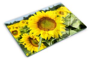 Tocător de bucătărie Floarea-soarelui pe un fundal de verdeață