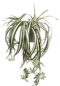 Plantă artificială, Chlorophytum, verde