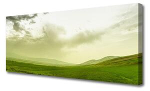 Tablou pe panza canvas Meadow Natura verde
