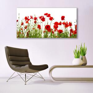 Tablou pe panza canvas Maci Floral Roșu Verde
