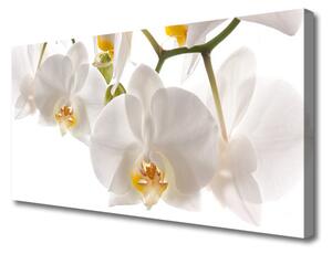 Tablou pe panza canvas Flori Floral alb