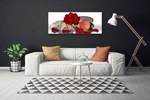 Tablou pe panza canvas Rose Conch pietre Art Roșu Alb Gri