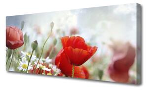 Tablou pe panza canvas Flori Floral Roșu Galben Alb