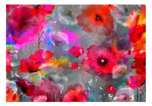 Fototapet - Painted Poppies