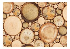 Fototapet - Wood grains