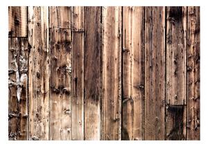 Fototapet - Poetry Of Wood