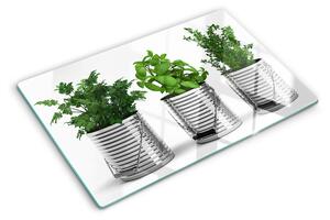 Tocător sticlă Plante în ghivece metalice