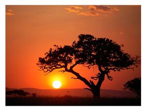 Fototapet - Africa: sunset