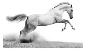 Fototapet - White gallop