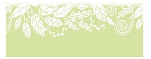 Panou bucatarie, protectie plita, aragaz, antistropire, print UV model Frunzis Decorativ, 60x50 cm