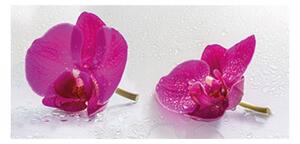 Panou bucatarie, protectie plita, aragaz, antistropire, print UV model Orhidee Mov 1, 60x50 cm