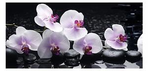 Panou bucatarie, protectie plita, aragaz, antistropire, print UV model Orhidee 15, 60x50 cm