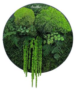Tablou natural Asparagus Green decorat cu muschi asparagus si ferigi stabilizate