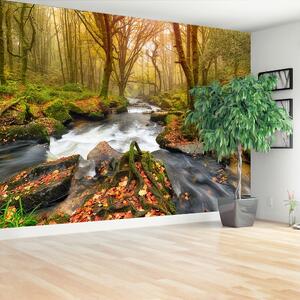 Fototapet River Forest