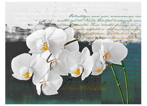 Fototapet - Orchid - poet's inspiration