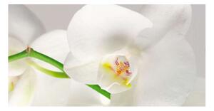 Panou bucatarie decorativ, protectie plita, Orhidee Alba 1, 60x50 cm