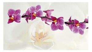 Panou bucatarie decorativ, protectie plita, model Orhidee Alba si Mov, 60x50 cm