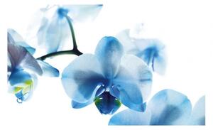 Panou bucatarie, protectie plita, aragaz, antistropire, print UV model Orhidee Albastra, 60x50 cm