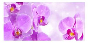 Panou bucatarie, protectie plita, aragaz, antistropire, print UV model Orhidee Violet 12, 60x50 cm