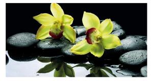 Panou bucatarie, protectie plita, aragaz, antistropire, print UV model 2 Orhidee Verzi, 60x50 cm