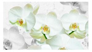 Panou bucatarie, protectie plita, aragaz, antistropire, print UV model Orhidee Alba 4, 60x50 cm