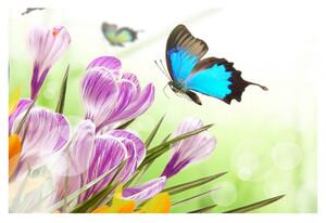 Panou bucatarie, protectie plita, aragaz, antistropire, print UV model Fluture Albastru, 60x50 cm