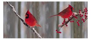 Panou bucatarie, protectie plita, aragaz, antistropire, print UV model Cardinal Rosu, 60x50 cm