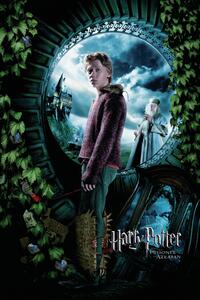 Poster de artă Harry Potter and the Prisoner of Azkaban - Ron