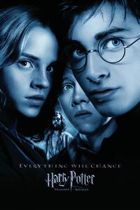 Poster de artă Harry Potter and the Prisoner of Azkaban - Trio