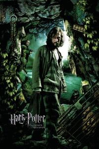 Poster de artă Harry Potter and the Prisoner of Azkaban - Sirius