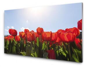 Tablou decorativ living-room, flori colorate, Lalele rosii pe cerul albastru, 100x50 cm