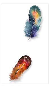 Fototapet - Colorful Feathers