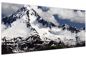 Tablou - Parcul Național Kenai Fjords (120x50 cm)
