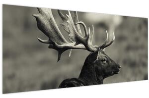 Tablou - Cerb (120x50 cm)