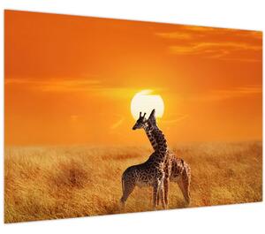 Tablou - Girafe în Parcul Național Serengeti (90x60 cm)