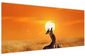 Tablou - Girafe în Parcul Național Serengeti (120x50 cm)