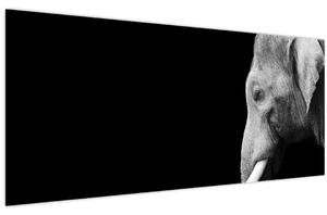 Tablou - Elefant (120x50 cm)